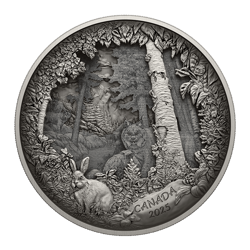 Image for Predator or Prey In Shadow Box Silver Coin (2025) from TD Precious Metals